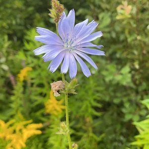 Meet your Posher, Charlotte